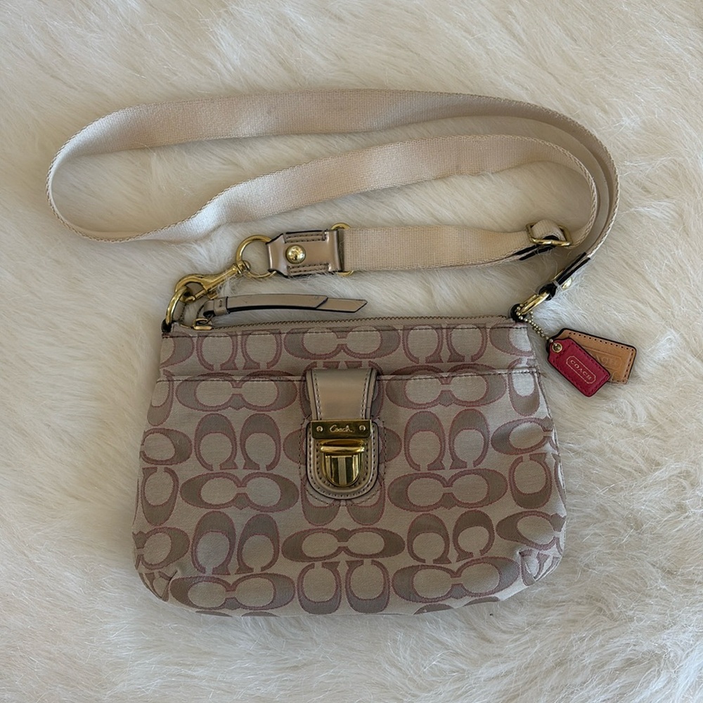 Coach Poppy Embroidered Crossbody Bag